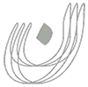 NNN logo - همراهان