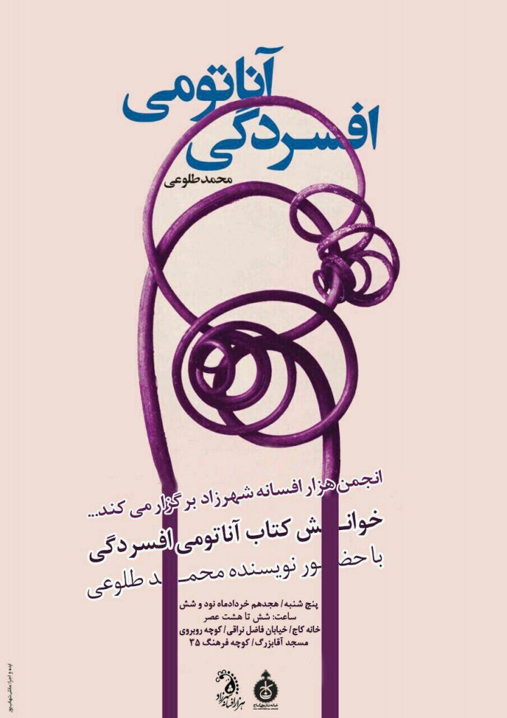 photo 2017 06 05 20 31 39 723x1024 - Tour-de-Iran with Anatomy of Depression: Kashan